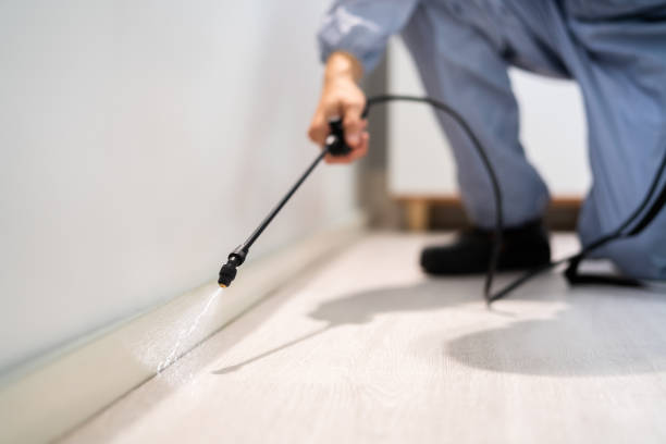 Bed Bug Pre-Treatment Preparation Assessment in Newellton