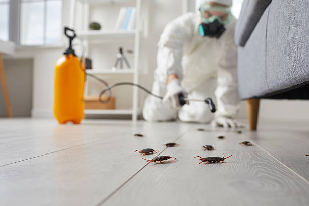 Post-Treatment Bed Bug Interceptor Monitoring in Newellton